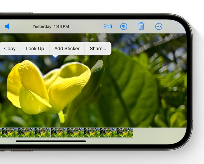 Visual Lookup feature in iOS 17